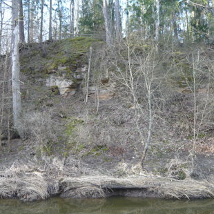 Nāriņu klints - smilšakmens atsegumi pie Vilces upes