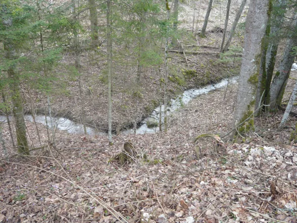 Velna grava